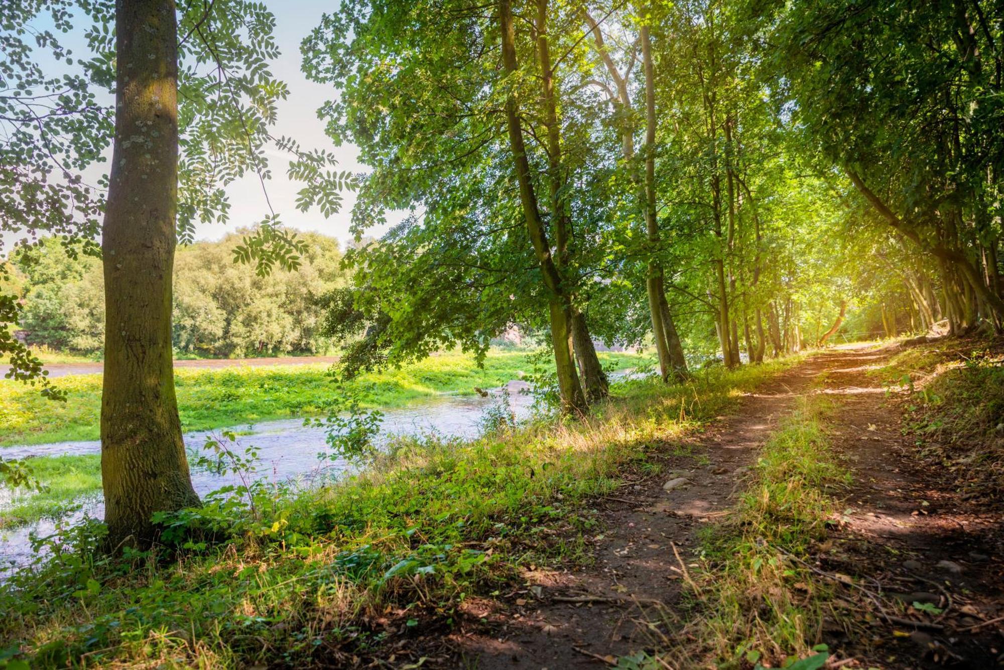 Pension u Jezu Klášterec nad Ohří Exterior foto
