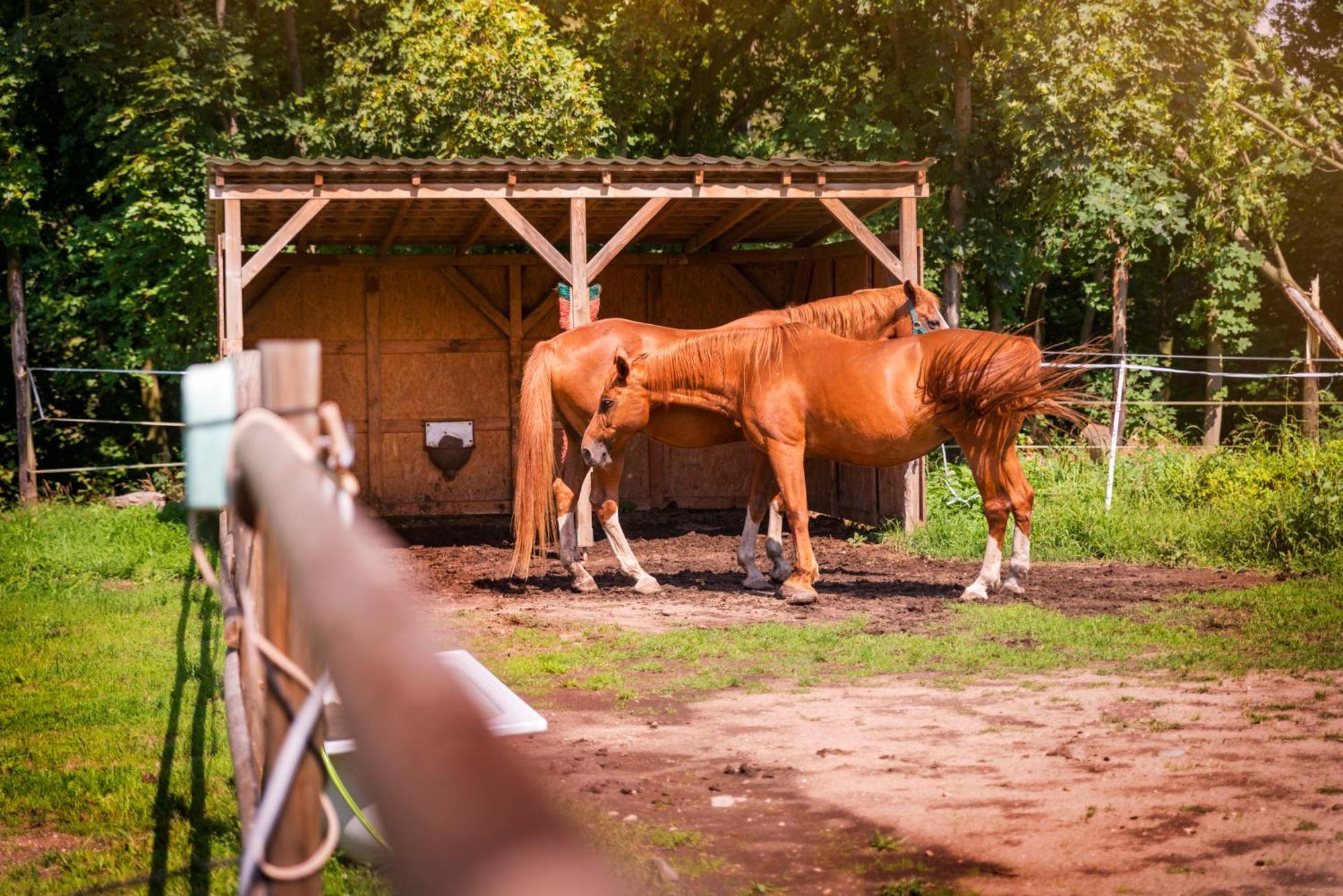 Pension u Jezu Klášterec nad Ohří Exterior foto